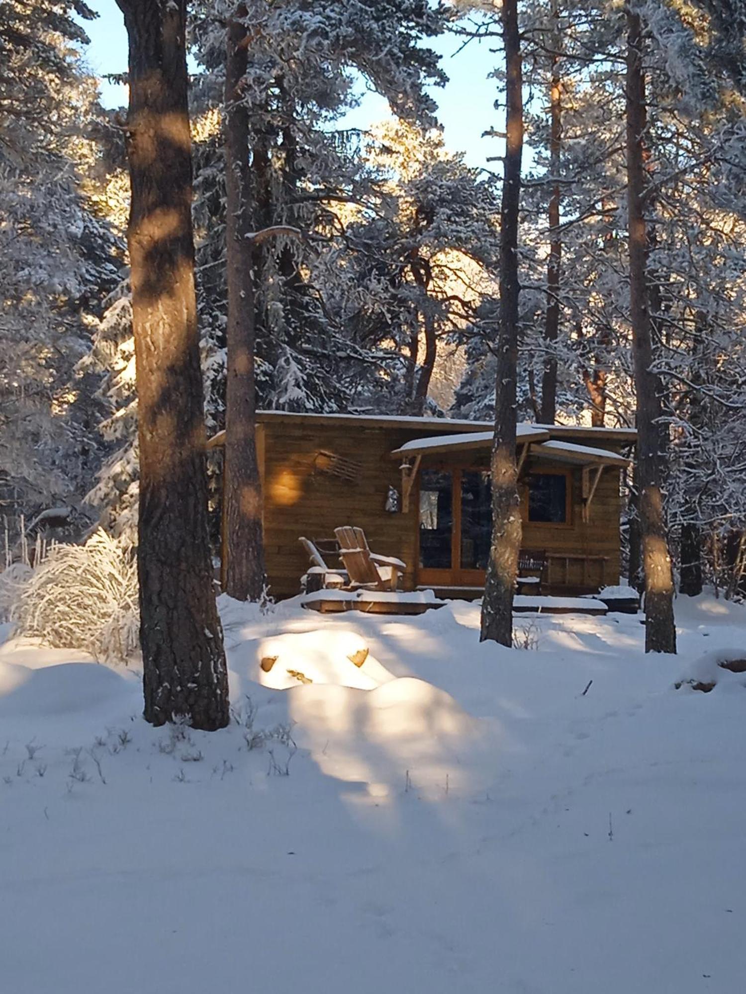 Chalet Hibou 1 Couchage En 140 Domaine De La Mamounette Champclause Bagian luar foto