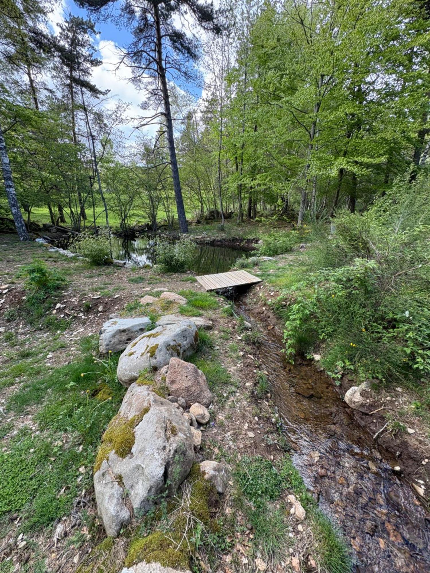 Chalet Hibou 1 Couchage En 140 Domaine De La Mamounette Champclause Bagian luar foto